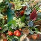 Autumn wreath