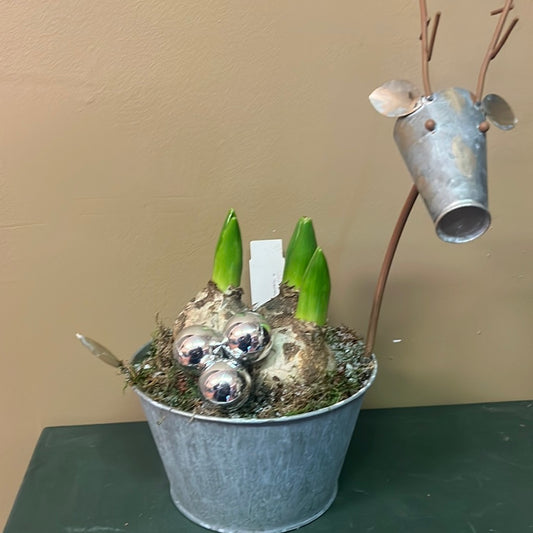 Reindeer Planter